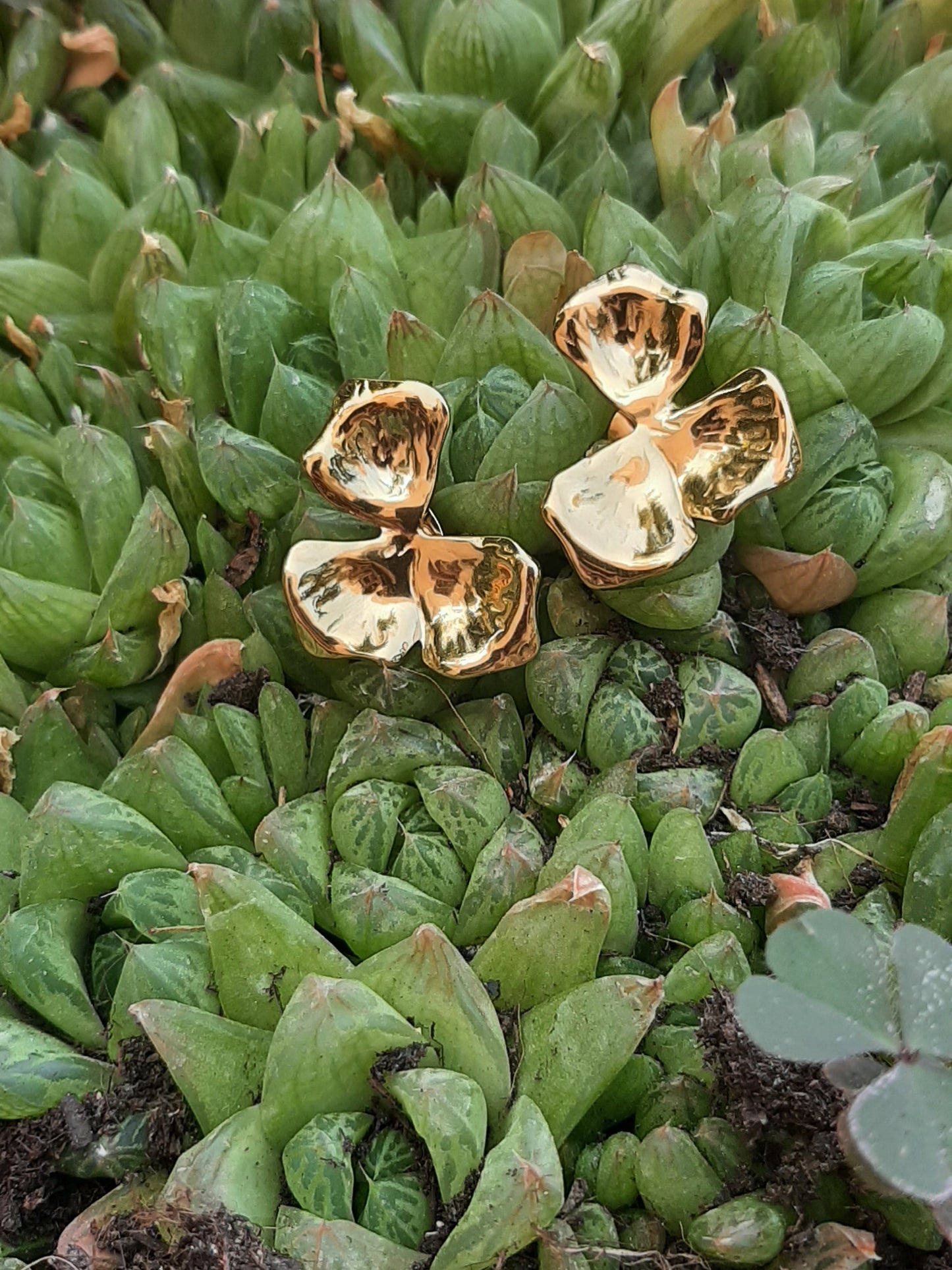 Boucles d'oreilles "MILA"